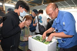 出荷規格を熱心に確認する生産者