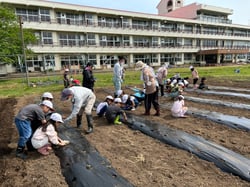 職員や女性部員と一緒に大豆の種をまく児童