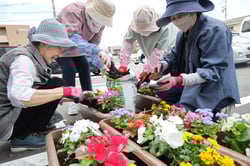 園児たちを思い、色とりどりの花苗をプランターに植える参加者