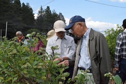 ブルーベリーの栽培管理を教え合う生産者ら