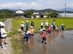 皆で協力して行った田植え