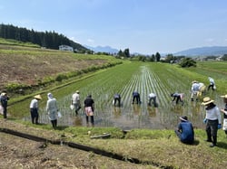 作業の様子