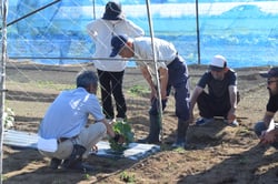 収穫に向けて栽培管理を学ぶ生産者ら