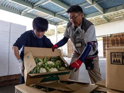 野菜荷受を体験する早川さん（左）