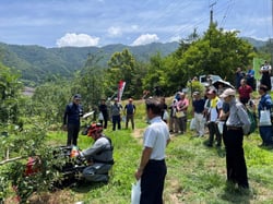 農機の実演会