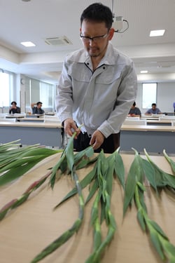 グラジオラスの規格を確認する平林専門部長