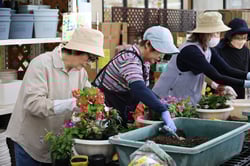 会話を楽しみながら寄せ植えをする参加者