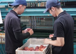 キズの有無を確認するＪＡ職員