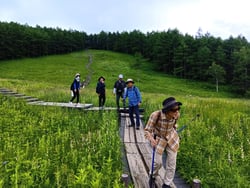 山野草を観察しながら湿原を歩く受講生ら