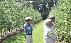 圃場で被害を確認するＪＡ役員ら