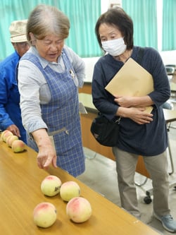 見本を手に取って確認する生産者