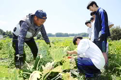 五味さん（左）に教わりながらズッキーニを収穫する生徒
