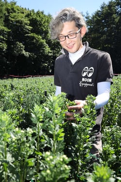出荷を控えるきくの生育を見守る小平さん