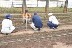 管理方法について意見を交わす生産者ら
