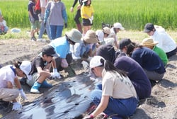 大根の種を撒く参加者
