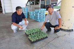 苗を確認する永井さん（右）と職員