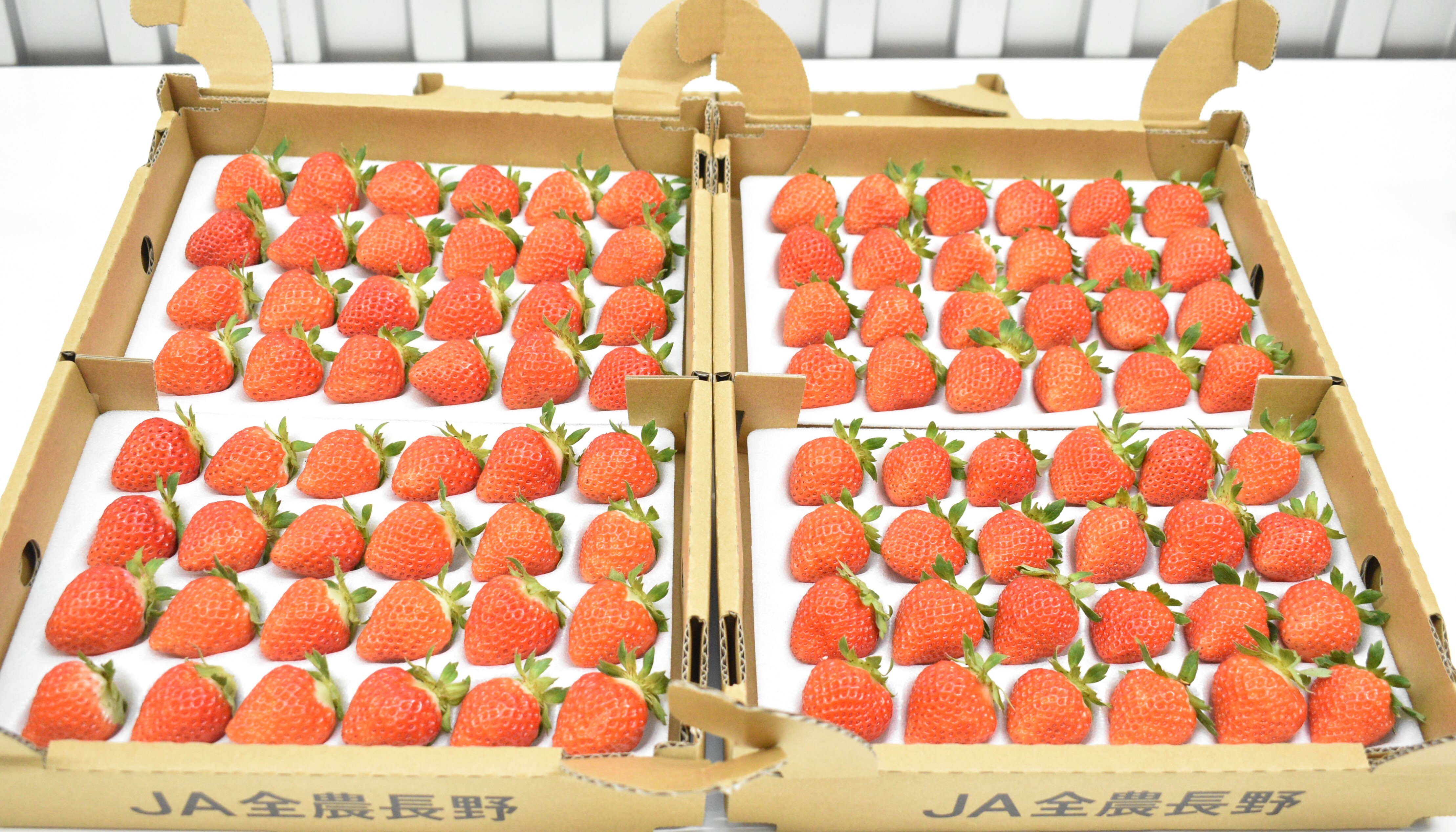 あまあづみが「第1回全国夏いちご選手権」で銅賞を受賞 | 県内JAの