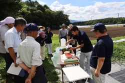 試し切りした小玉スイカの糖度を測る職員