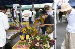 花を選ぶ来場者　（長野県長野市、８月１０日）