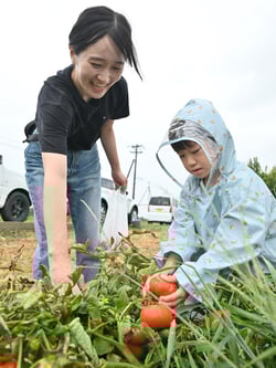 トマト収穫を楽しむ参加者