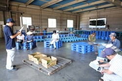 スイートコーンの目ぞろえを行い、最盛期に向け意思統一した出荷査定会