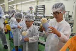えのき茸について真剣に学ぶ小学生