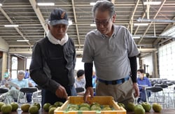 見本のなしを見ながら規格を確認する生産者と中野専門部長（右）