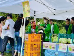 地元産野菜を販売