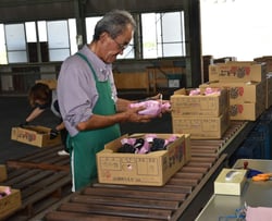 慎重に評価する担当者