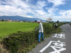 作業をすすめる農家組合有志