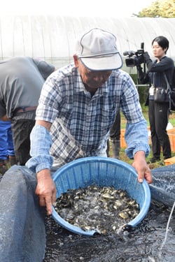 約３カ月間育てた小ブナを水揚げする根井部会長