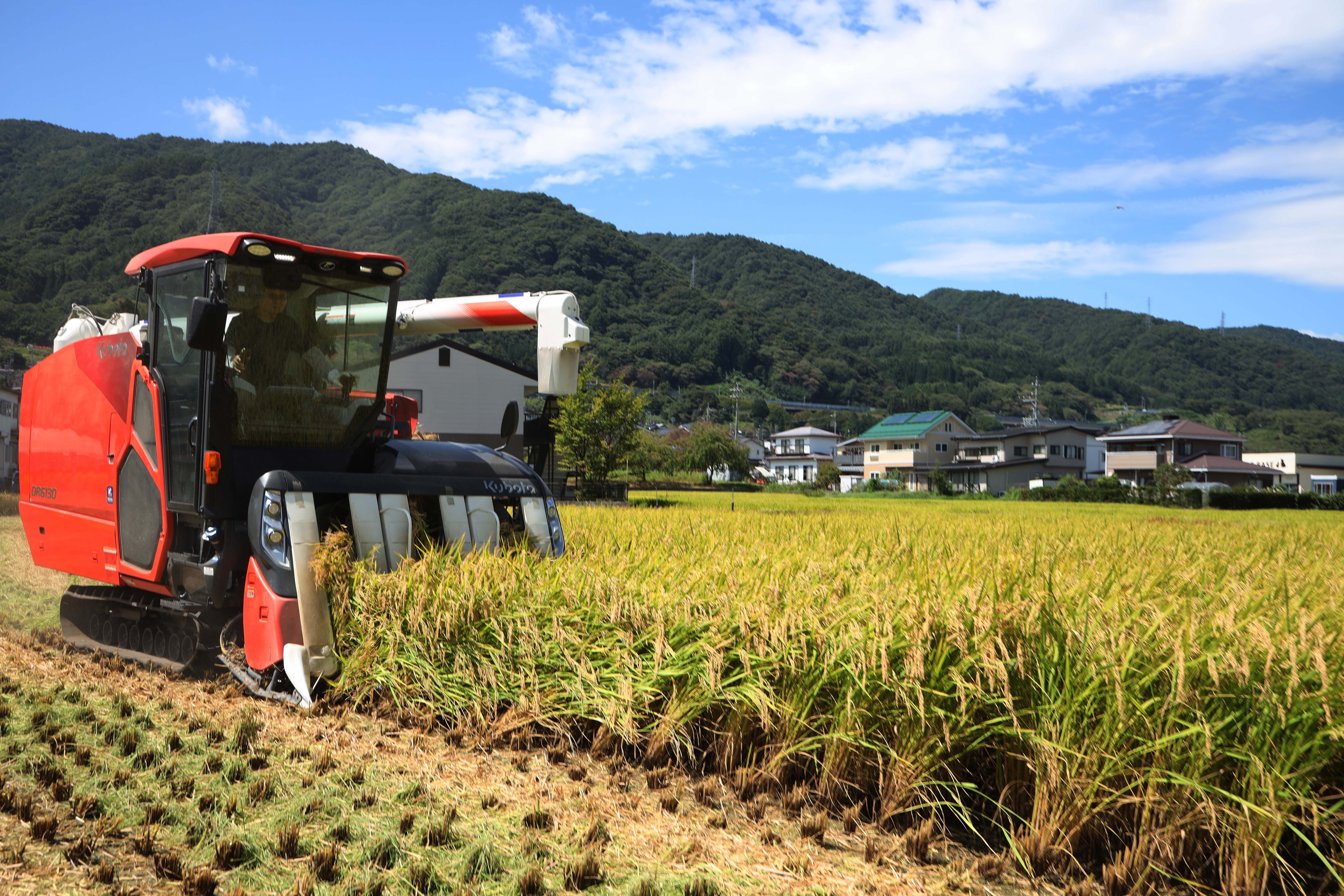 諏訪地域で稲刈りスタート 品質よく、おいしいコメに期待 | 県内JAの