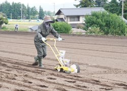 播種機で牧大根の種をまくメンバー