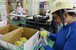 丁寧に確認しながら荷造り作業を進める作業者
