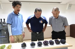 サンプルを見て出荷規格を確認する生産者