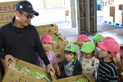 ぶどう集荷所を見学する園児たち