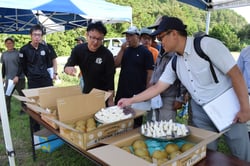 熟度の異なる天空のしずくを食べ比べる参加者