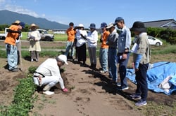 定植時の注意点を確認する生産者ら