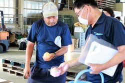 出荷規格を確認する生産者