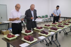 審査をする宮澤組合長（中）