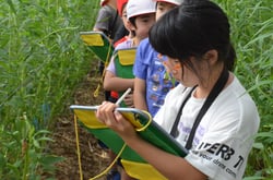 アルストロメリアの栽培方法についてメモを取る児童