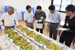 カラーチャートを使い厳正な審査をする審査員