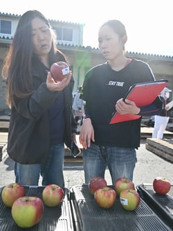 見本を手に取り出荷規格を確認する生産者