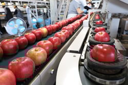 出荷が始まったシナノスイート