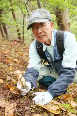 松茸を収穫する関さん