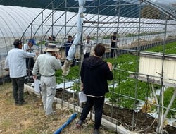 圃場の審査をする審査員ら