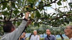 先進的な技術を見学する参加者ら