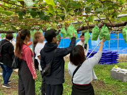 収穫を楽しむ参加者