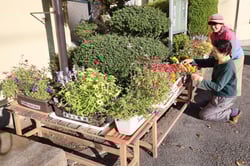 田辺分館前にある花苗プランター。地域住民の協力による受け皿や花台の設置で、より長持ちしているという