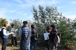 ほ場を見ながら質問する参加者